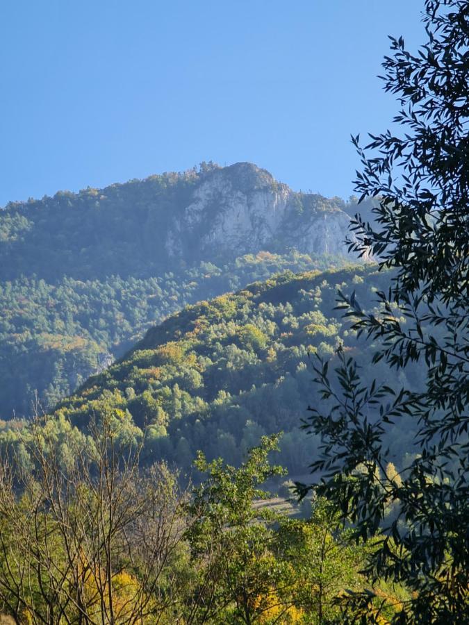 Holiday home Casa Rei Vidolm